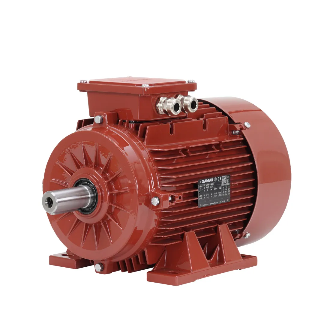 ATEX 22 Motors