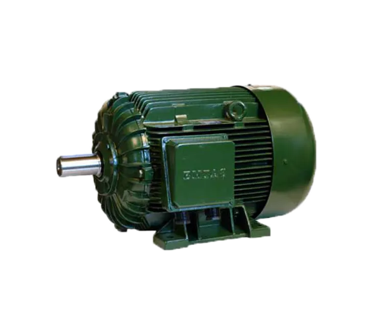 Two-Speed Motors