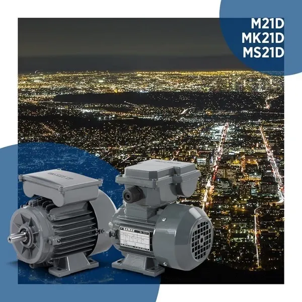 Single-Phase Asynchronous Motors