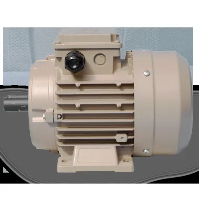 Single-Phase Motors