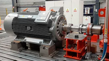 Medium Voltage Motors