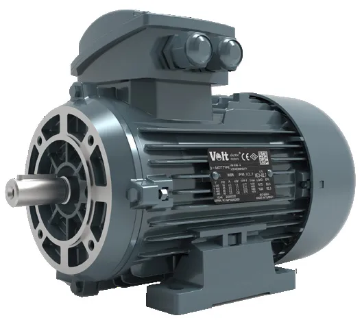 Volt VTP Series Three-Phase Asynchronous Motors (3)